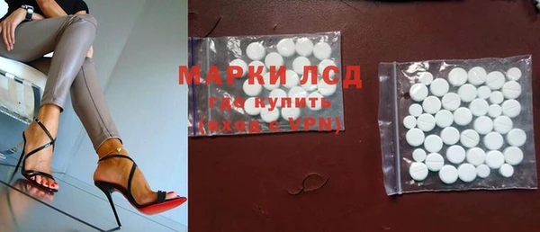 шишки Верея
