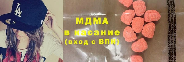 шишки Верея