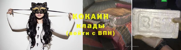 шишки Верея