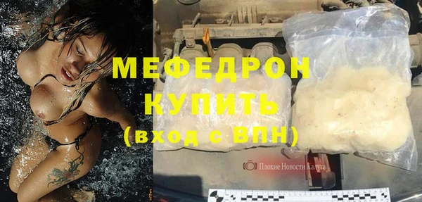 шишки Верея