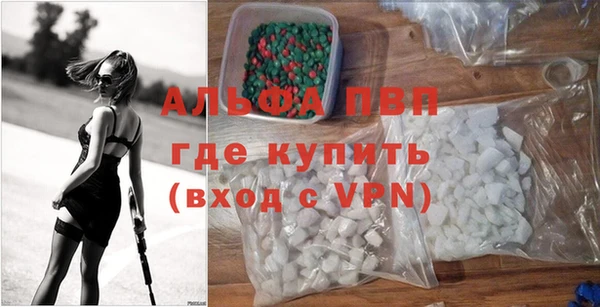 шишки Верея