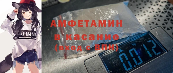 шишки Верея