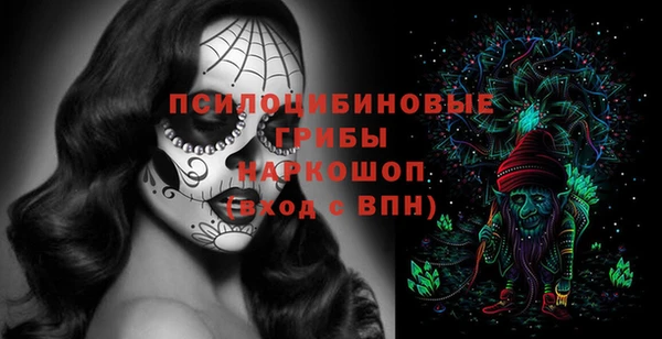 шишки Верея