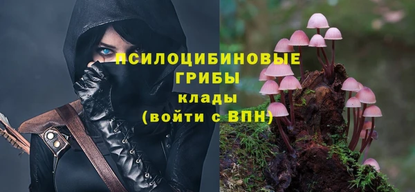 шишки Верея