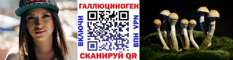 наркота  Карабулак  Псилоцибиновые грибы Psilocybe 